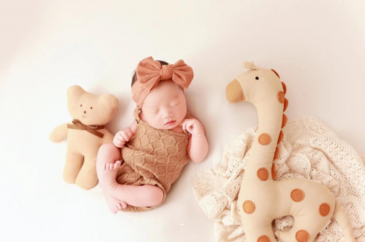 沧县宝宝虾的做法 沧县宝宝虾的做法